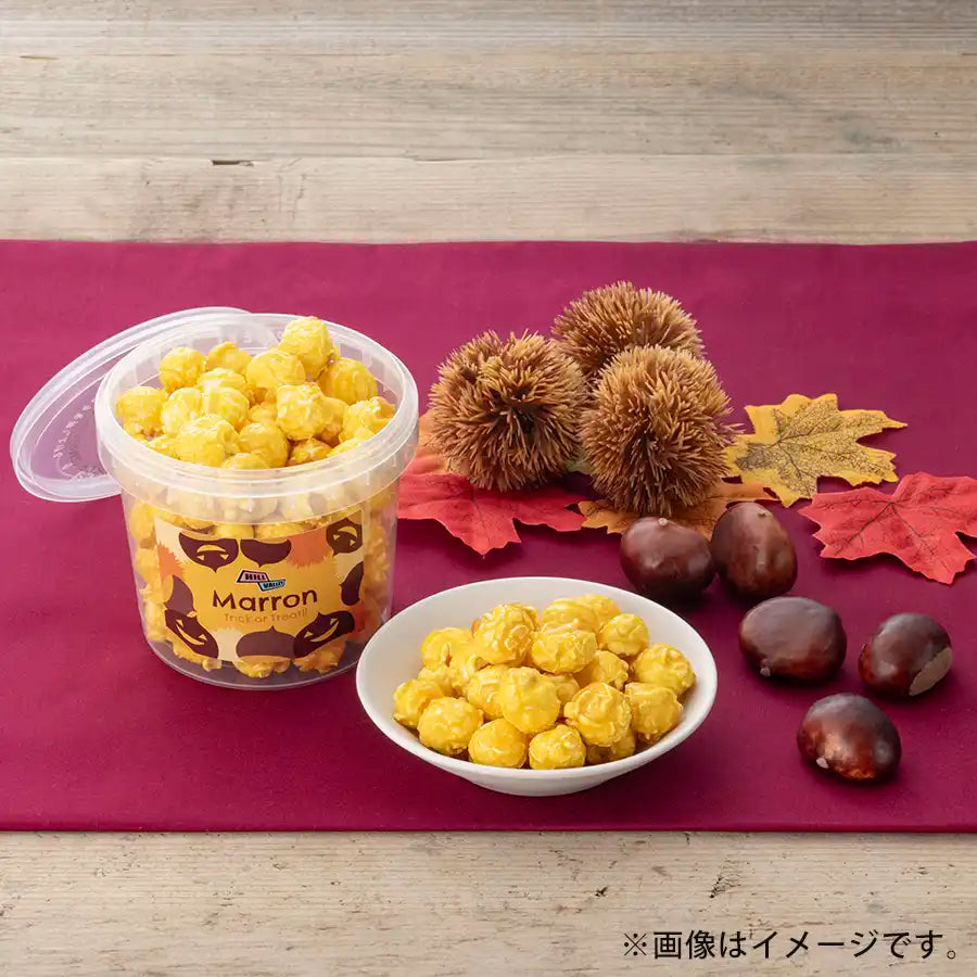 マロン <1名様向け> | HillValley (ヒルバレー) オンライン  